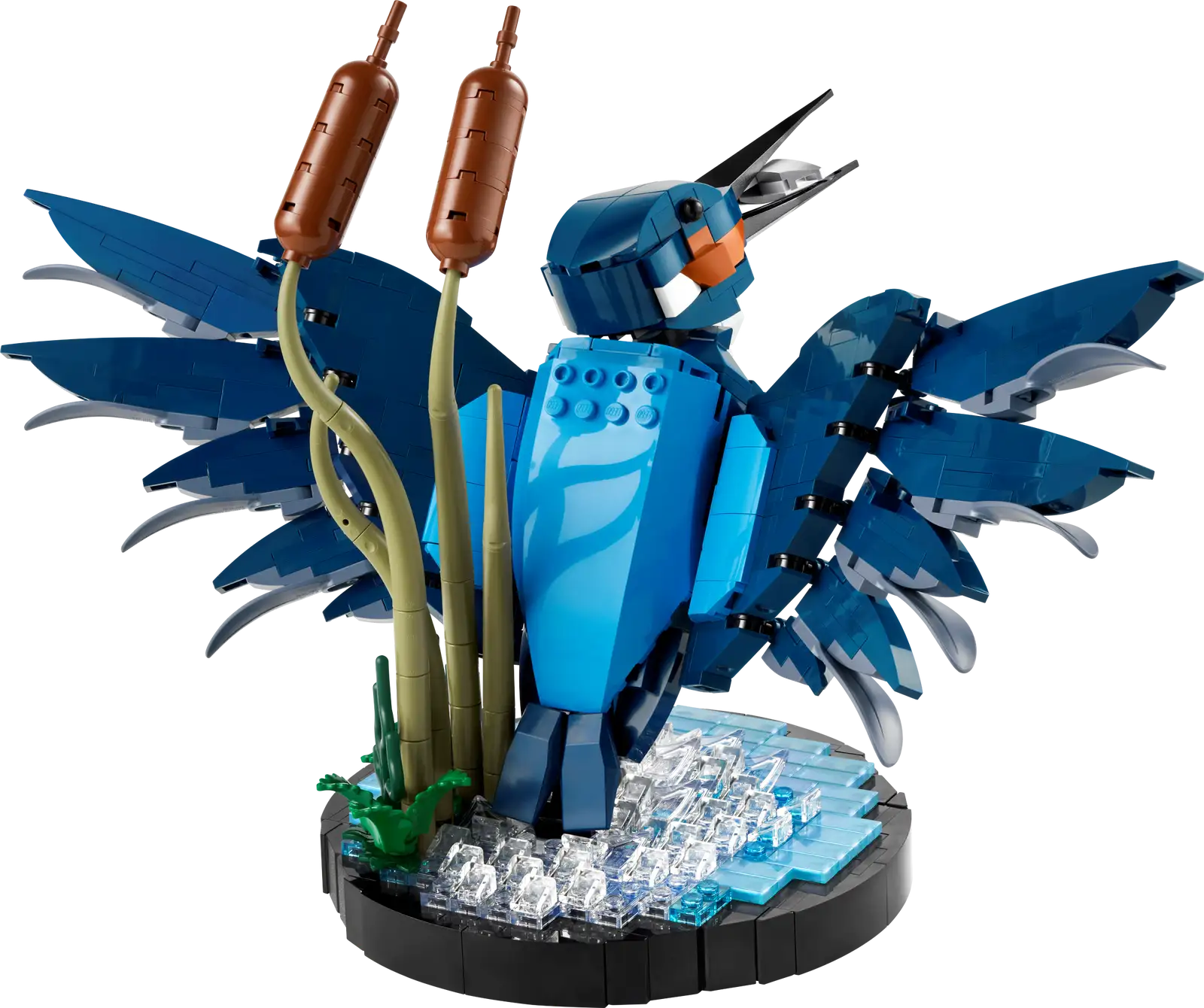LEGO® Icons Kingfisher Bird 10331